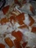 Persimmon Nut Yogurt Fruit Salad